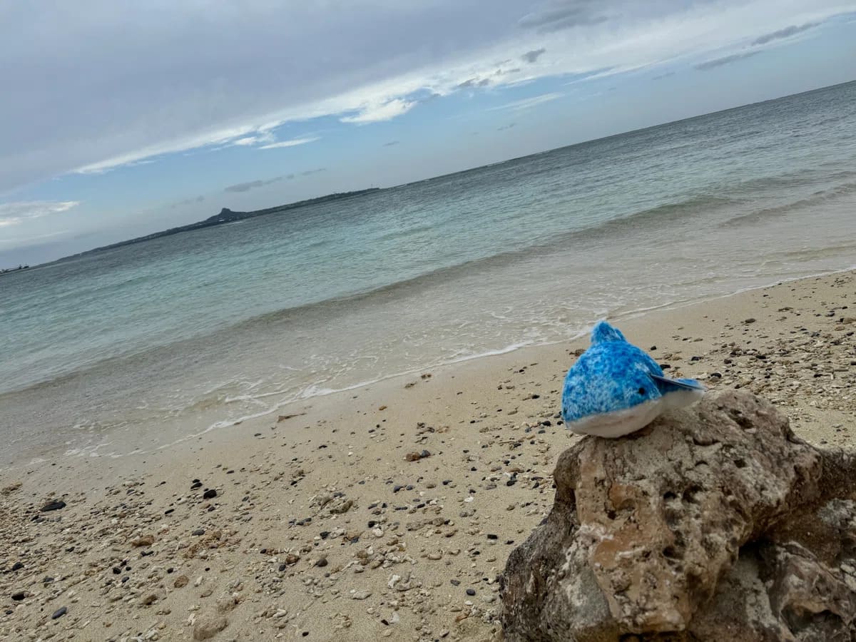 ジンベエザメのぬいぐるみ