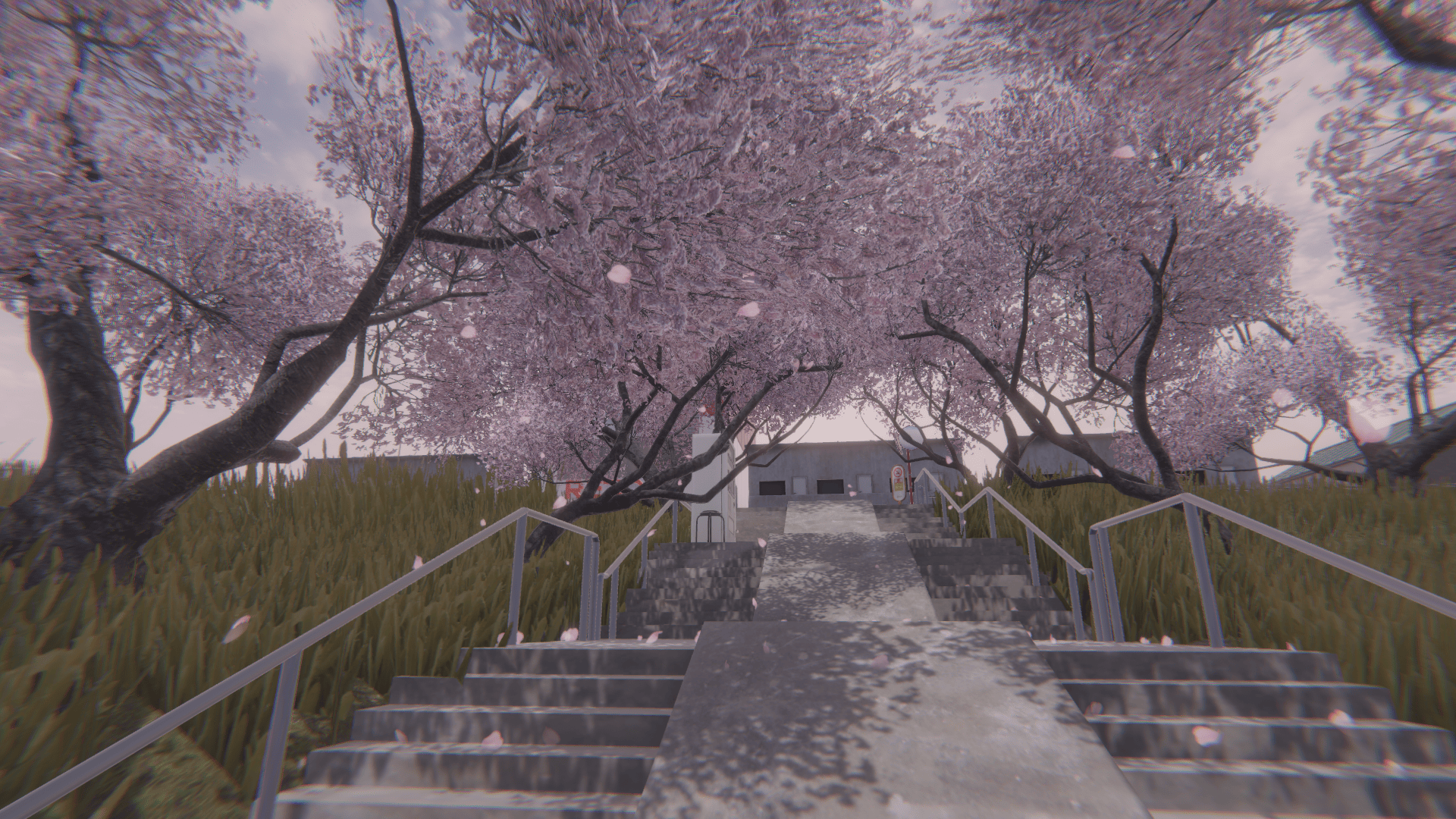 VRChat　ワールド　桜