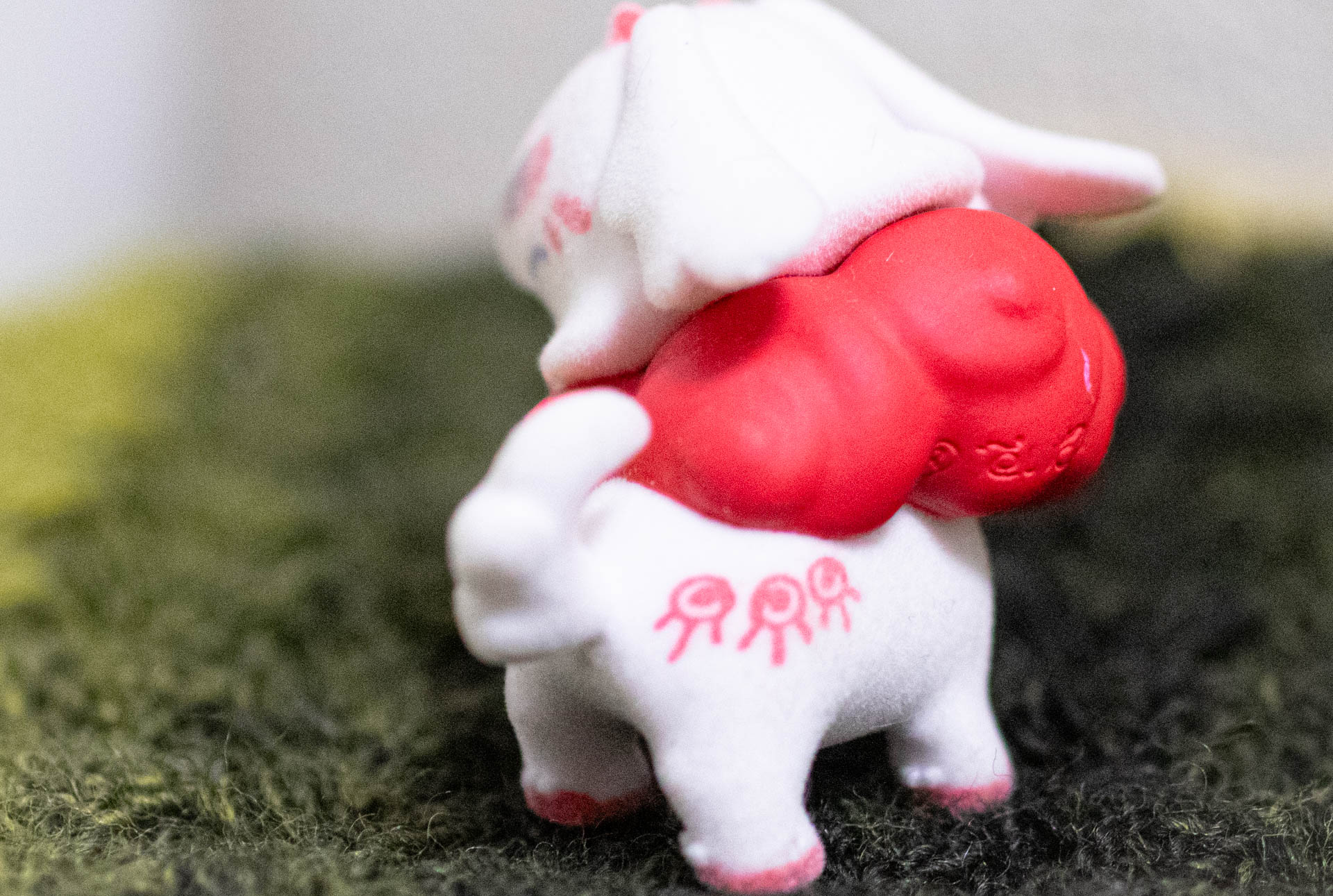 ふんわり仔白沢　ガチャガチャ　だいきょ屋