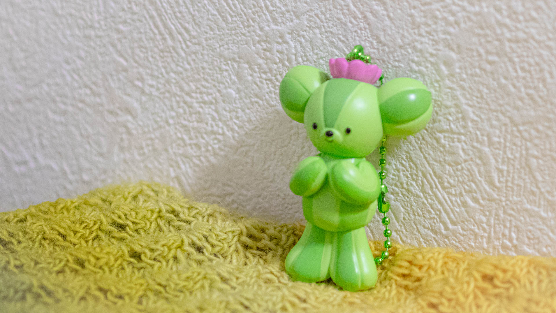 サボテディ　ガチャガチャ