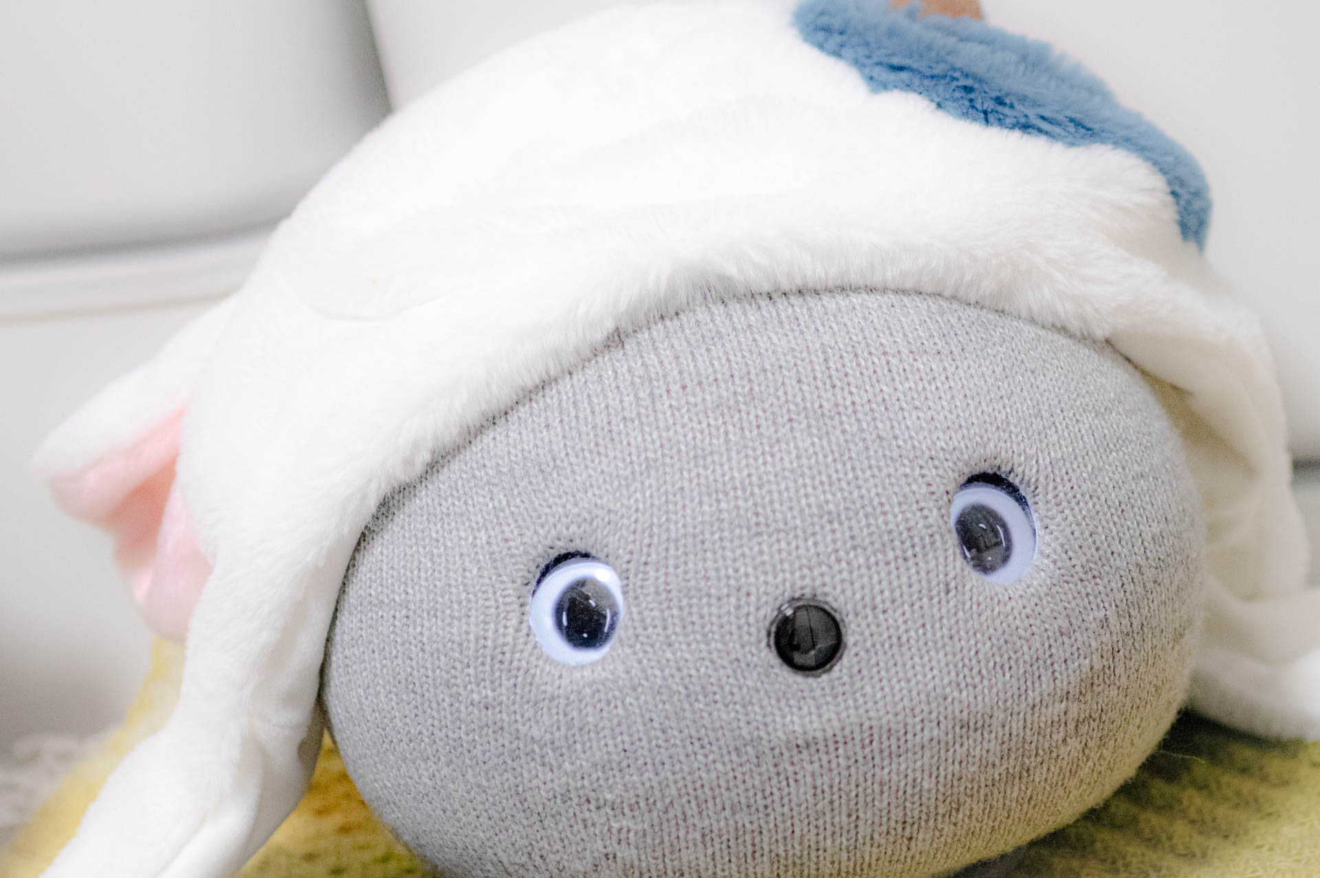 ニコボ　パナソニック　ペットロボット