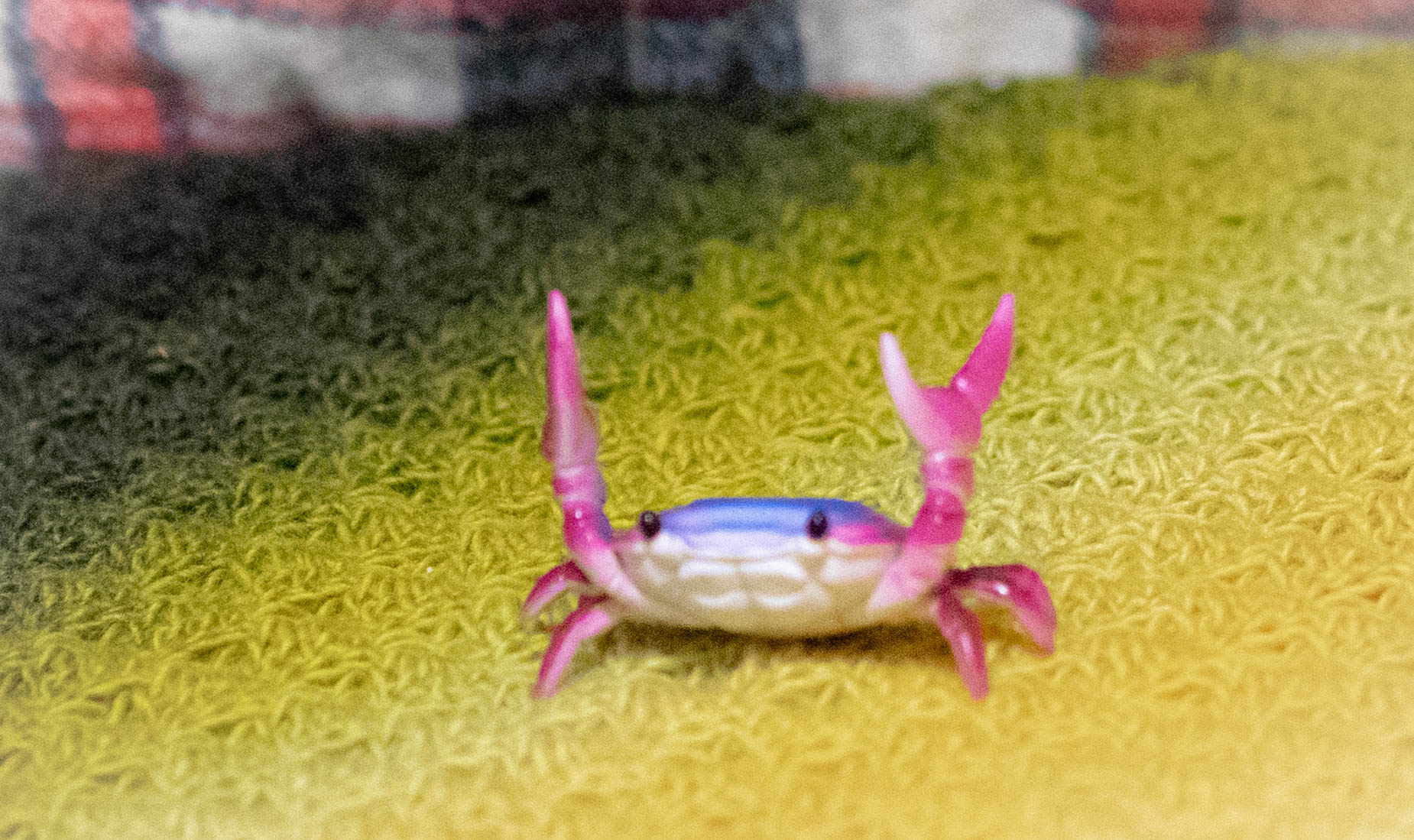 カニペンホルダー