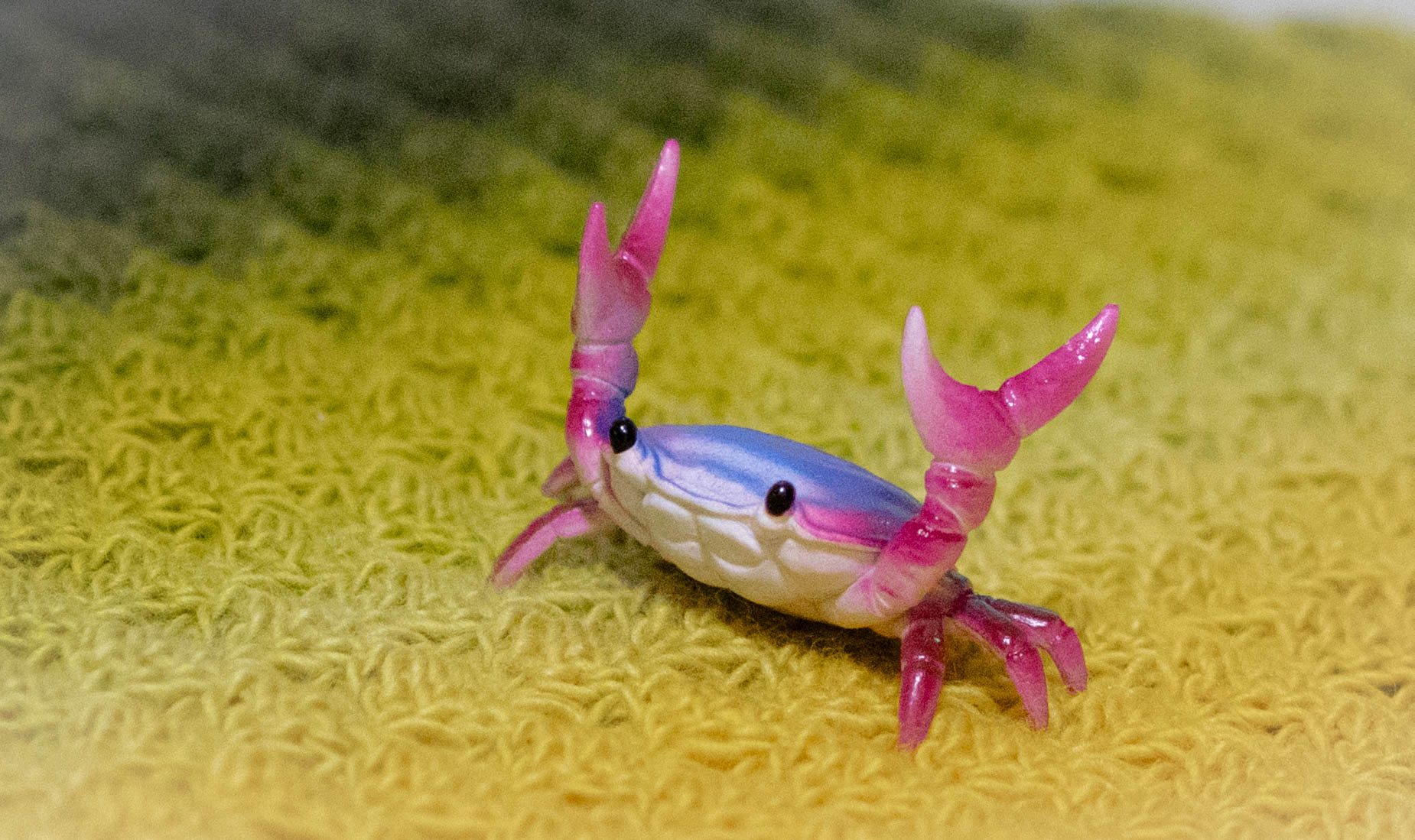 カニペンホルダー