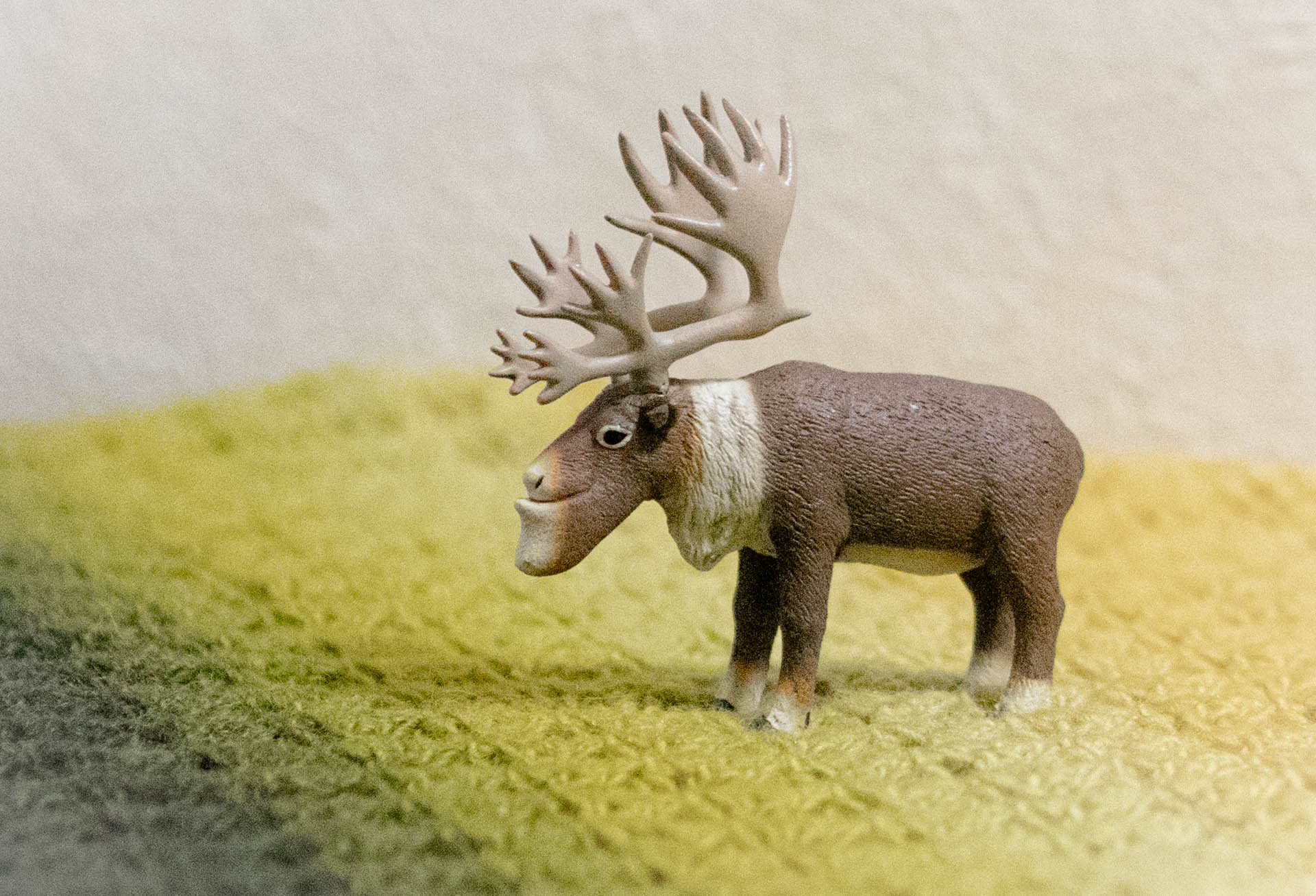 シャクレルプラネット　カプセルトイ　ガチャガチャ