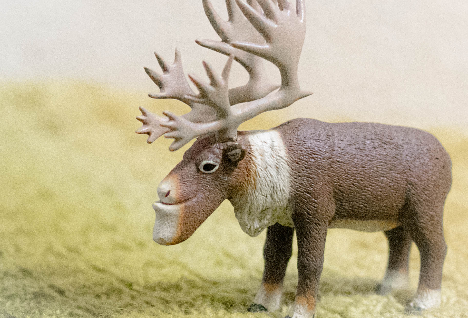 シャクレルプラネット　カプセルトイ　ガチャガチャ