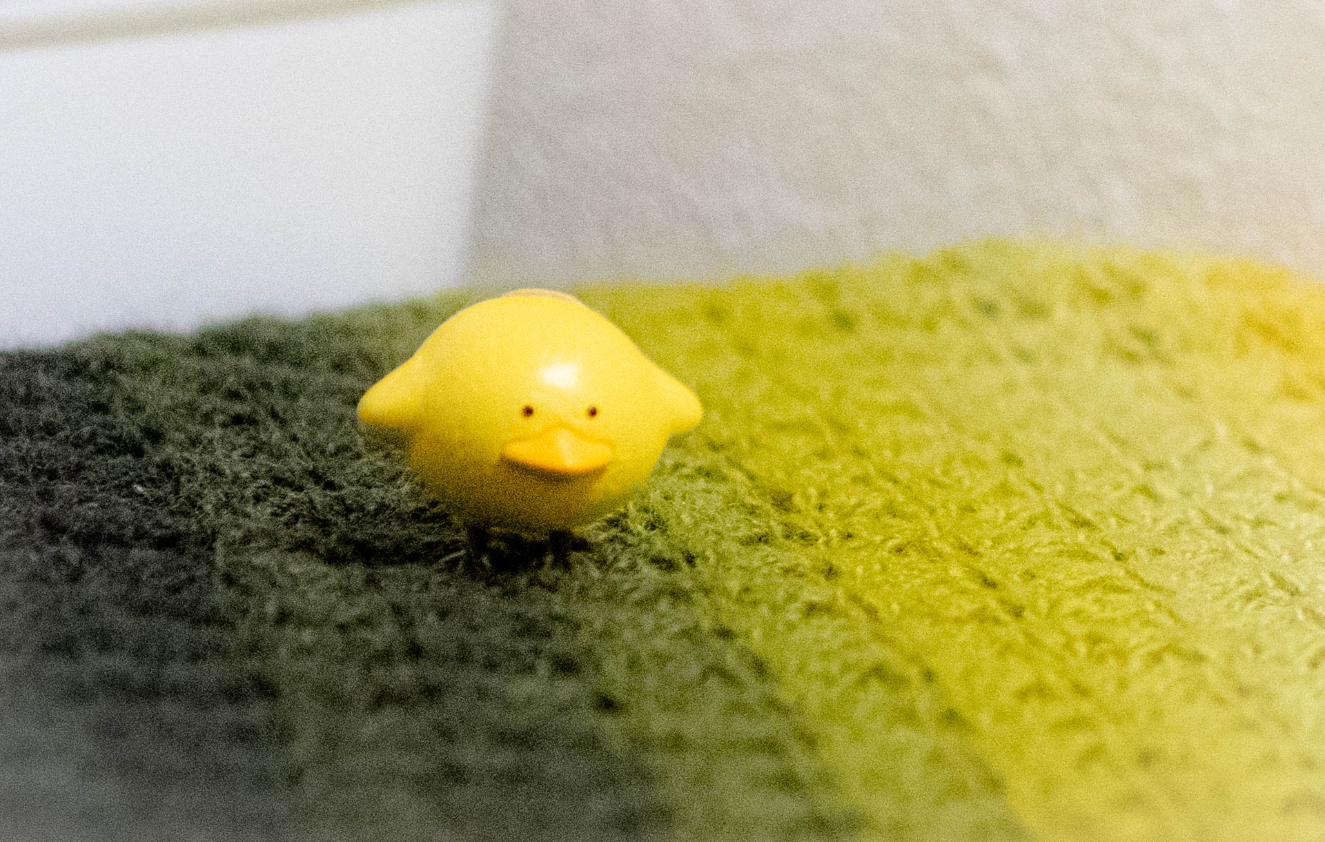 カプセルトイ ガチャガチャ トリピカルズ