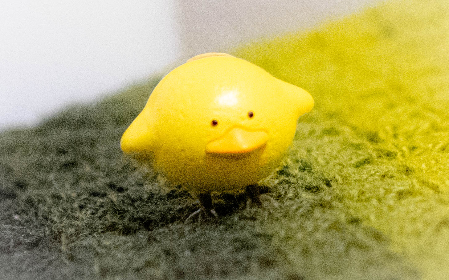 カプセルトイ ガチャガチャ トリピカルズ