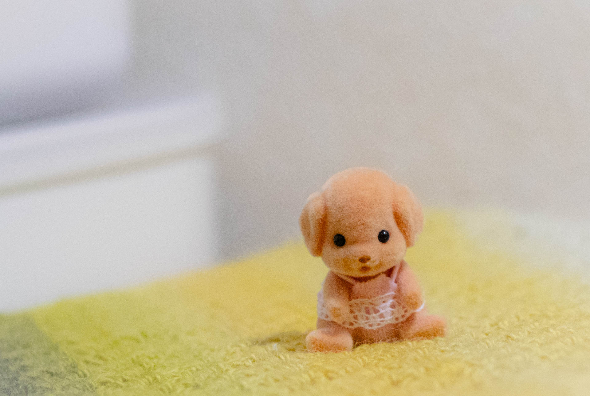 シルバニア　トイプードル　赤ちゃん