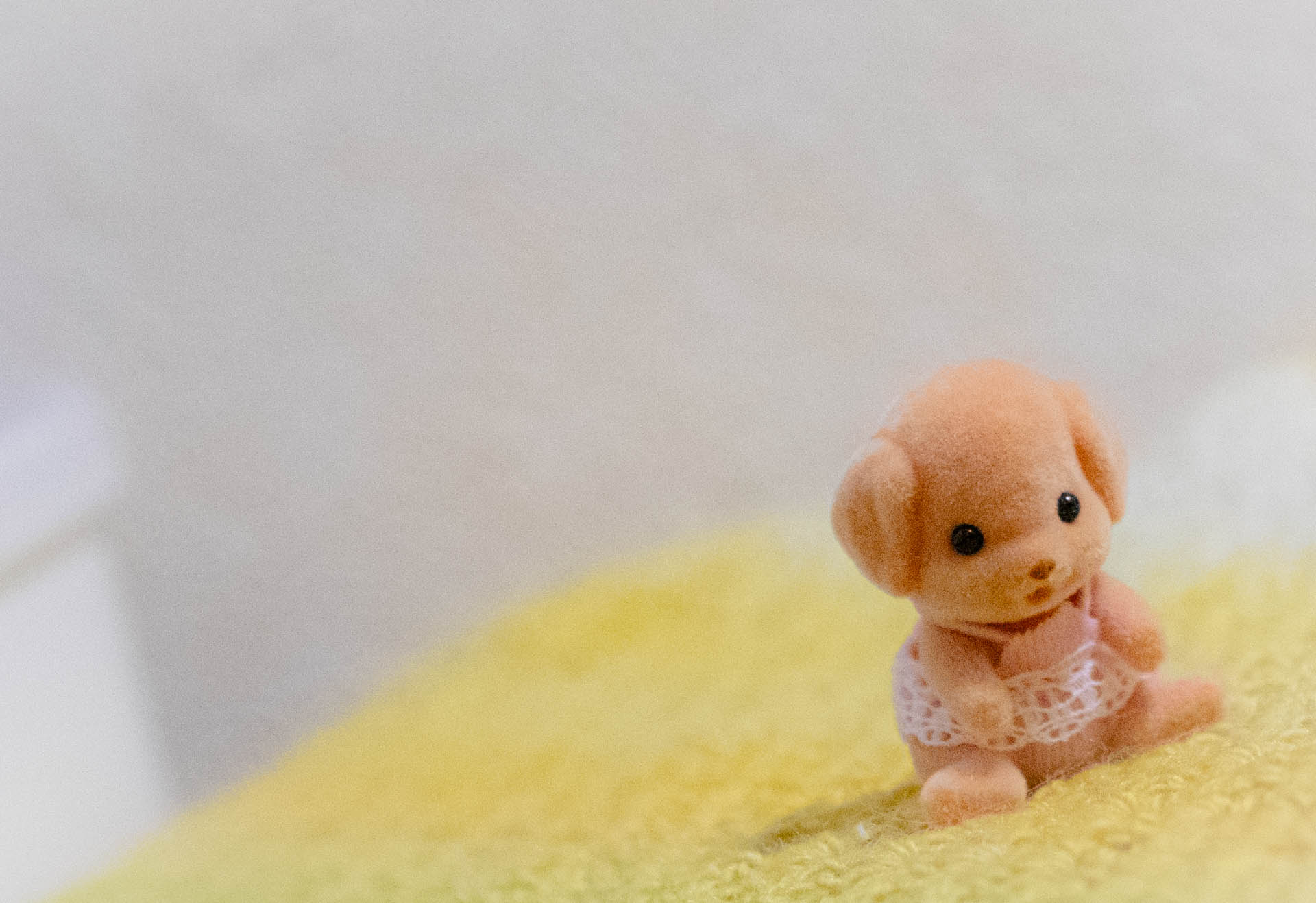 シルバニア　トイプードル　赤ちゃん