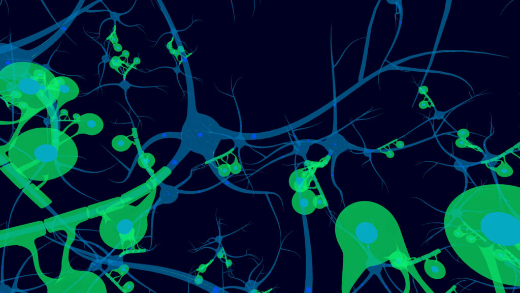 VRChat　ワールド　Neuronal