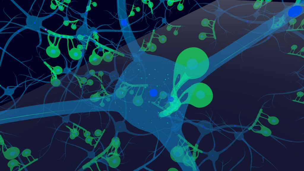 VRChat　ワールド　Neuronal