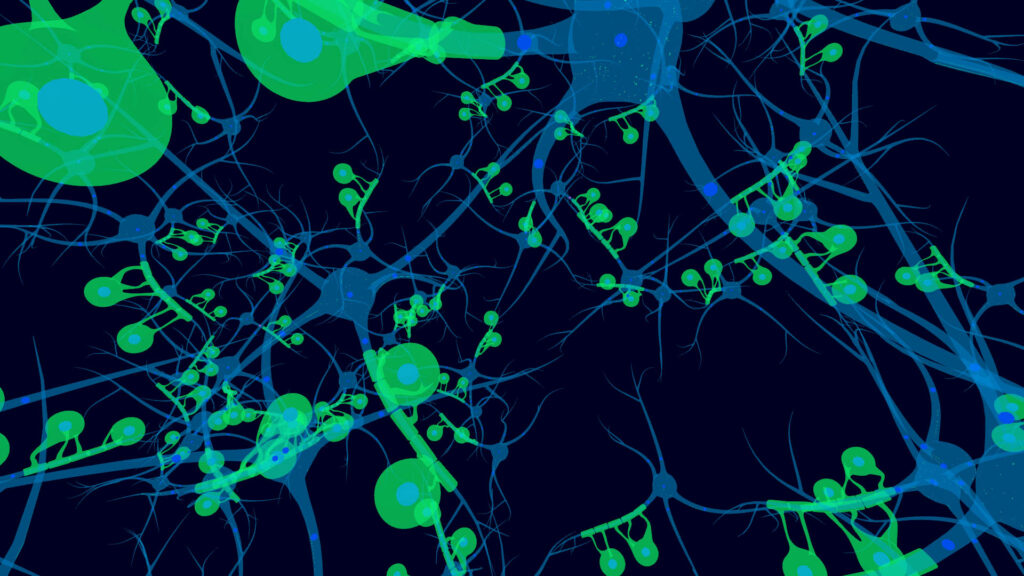 VRChat　ワールド　Neuronal