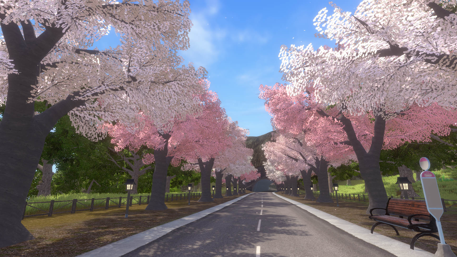 VRChat　ワールド　Sakura