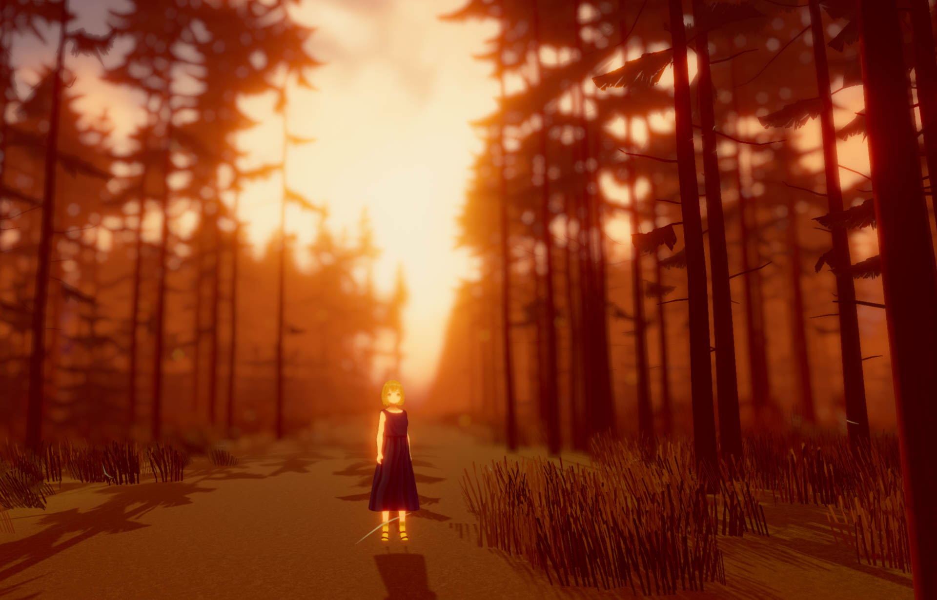 VRChat　ワールド　タダノモリ