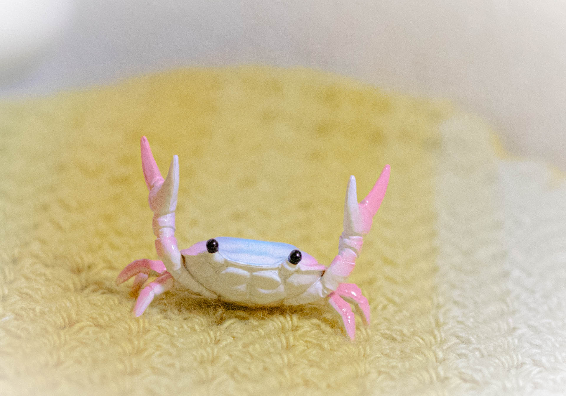 カニペンホルダー　アーニトル　