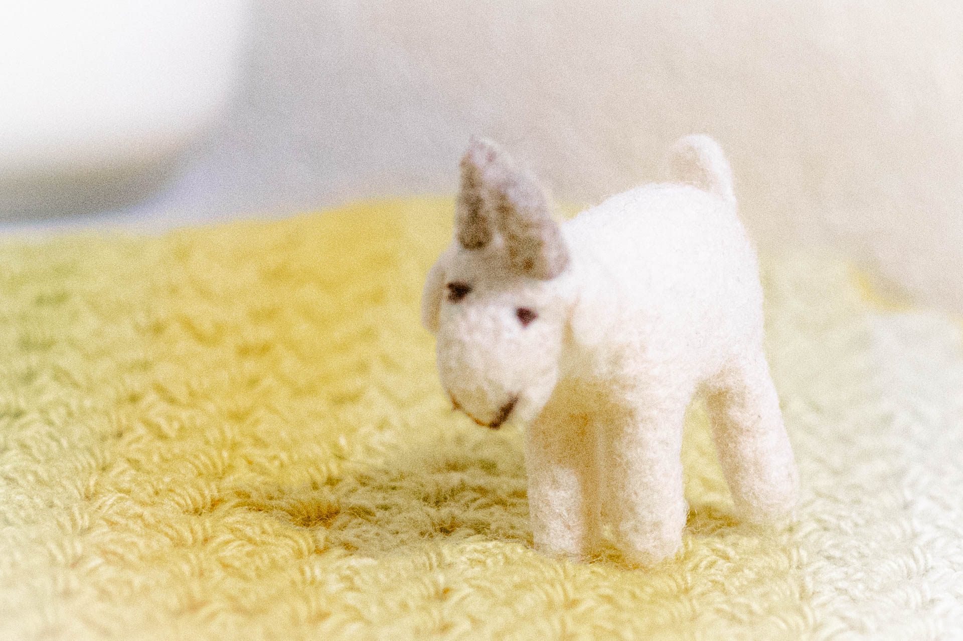 無印良品　ウールフェルト　動物