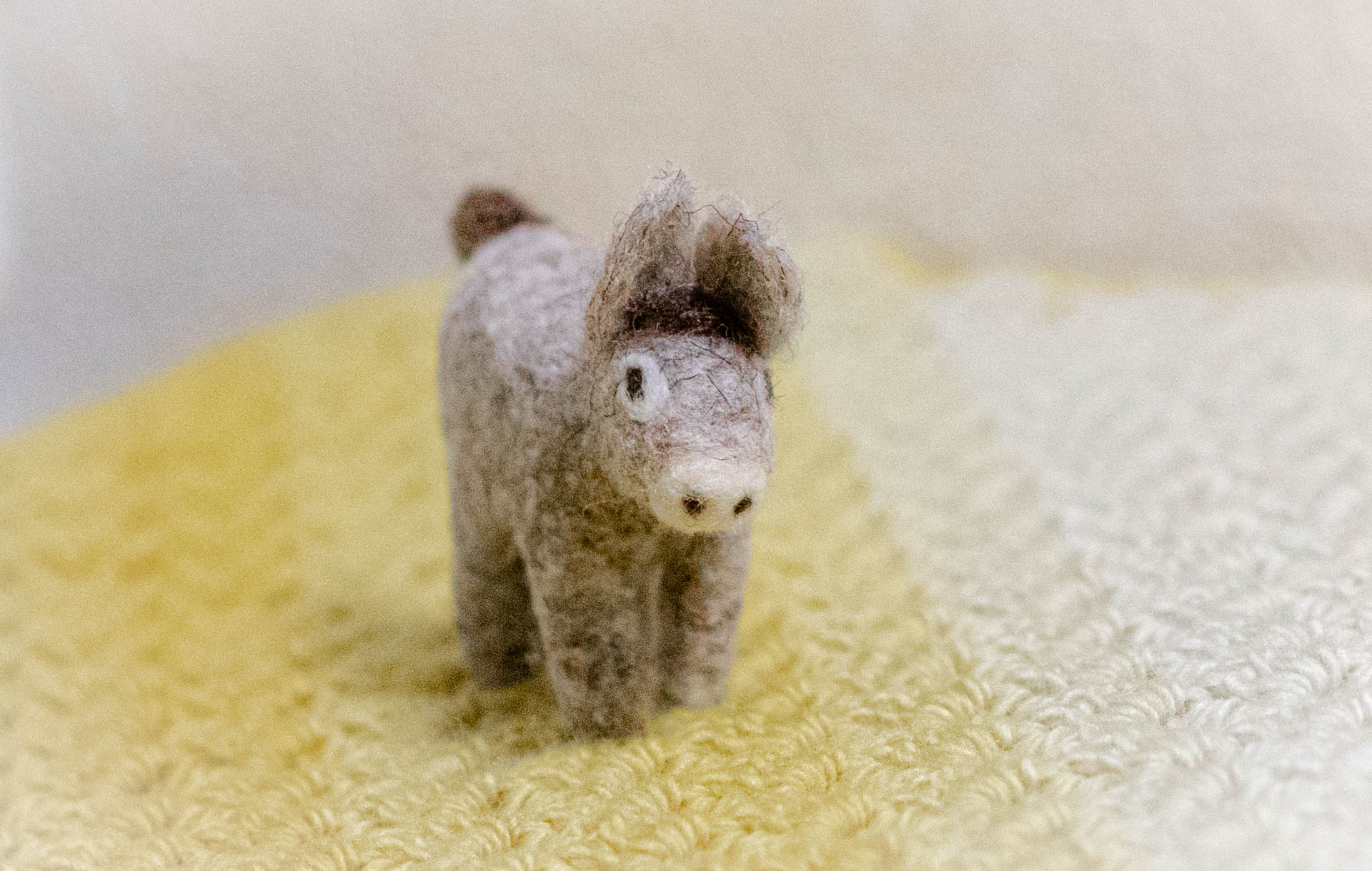 無印良品 ウールフェルト 動物