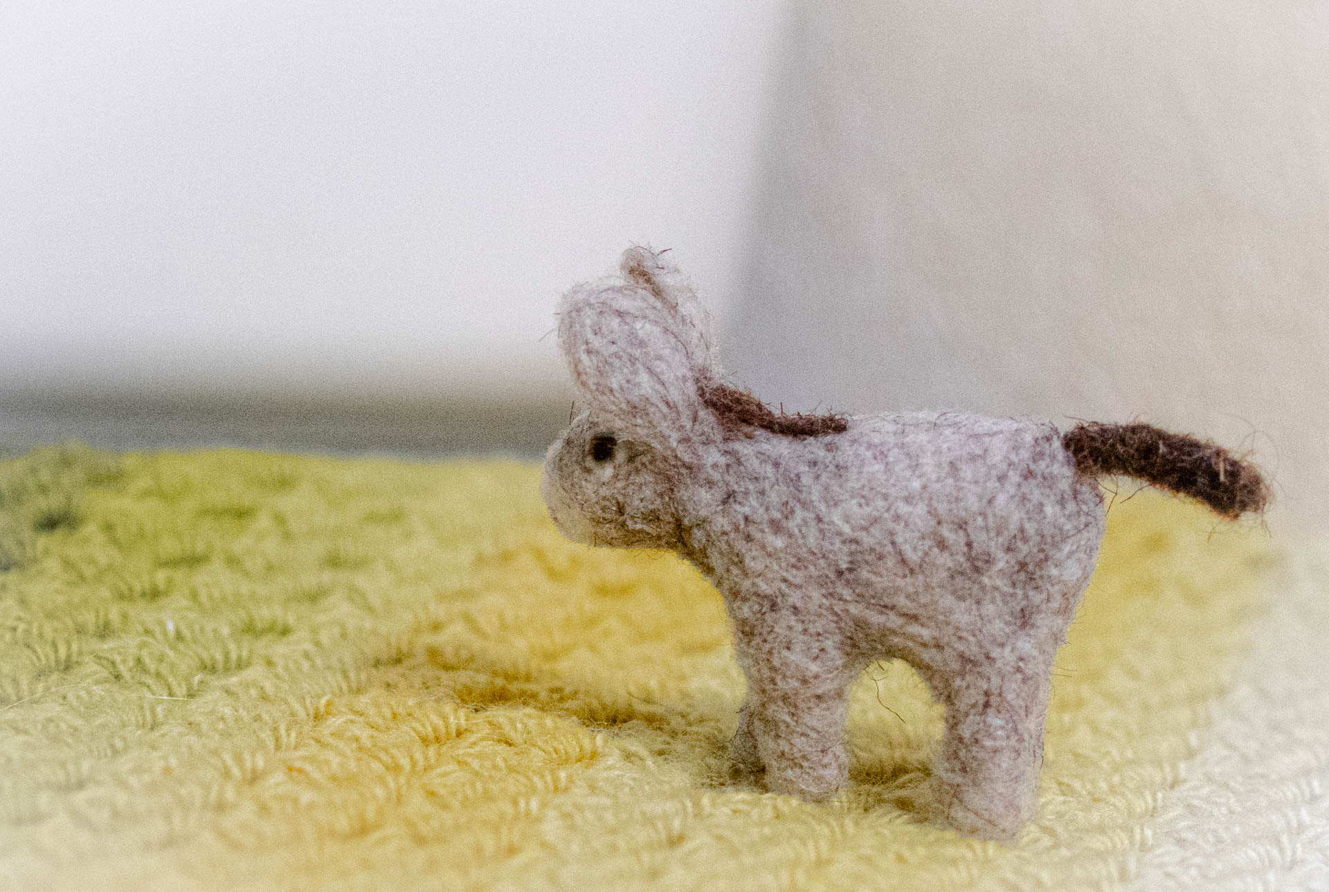 無印良品　ウールフェルト　動物