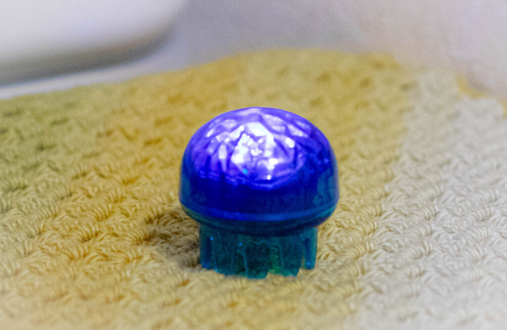 光るクラゲ　すみだ水族館