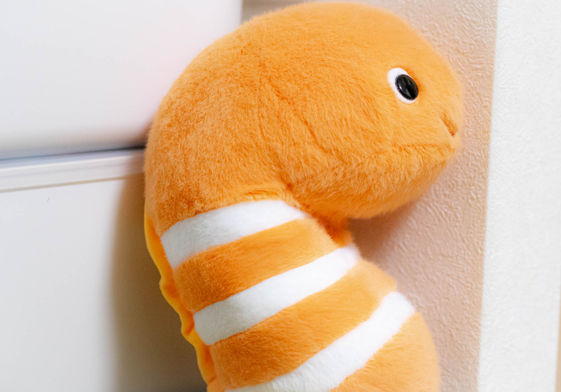 ふんばるず　ニシキアナゴ　すみだ水族館