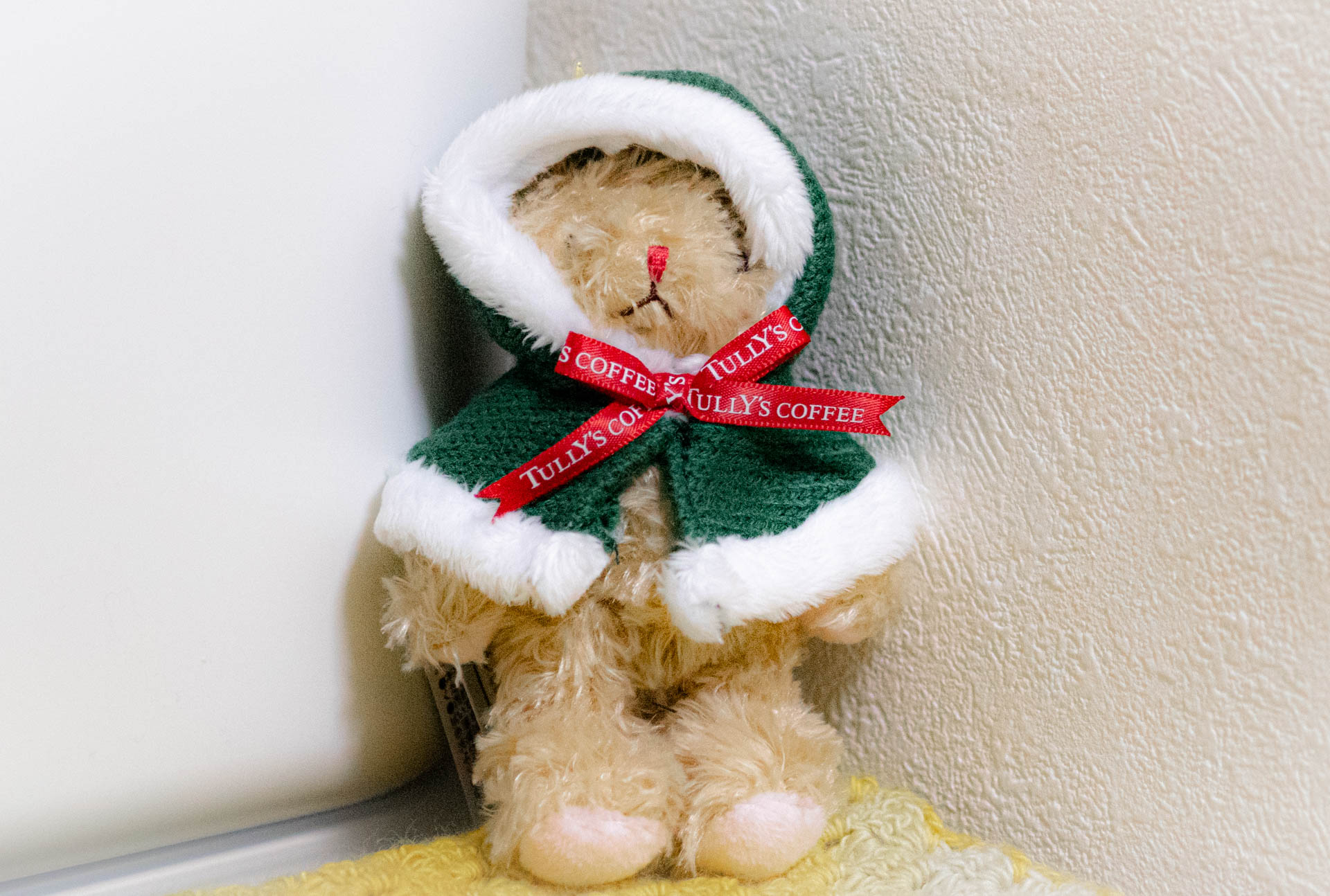 ベアフル　タリーズ　ホリデー