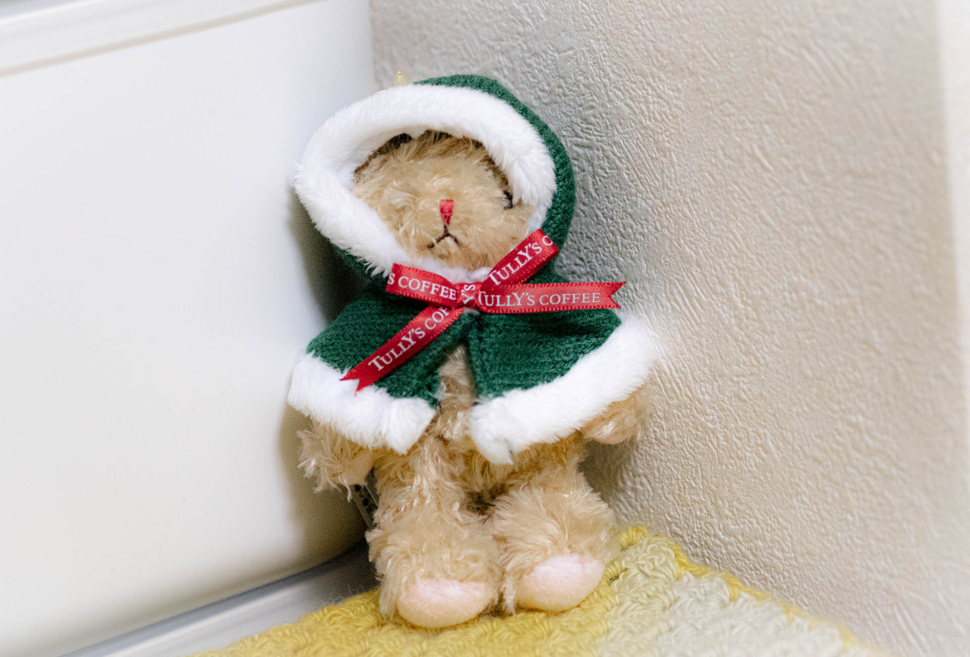 ベアフル　タリーズ　ホリデー