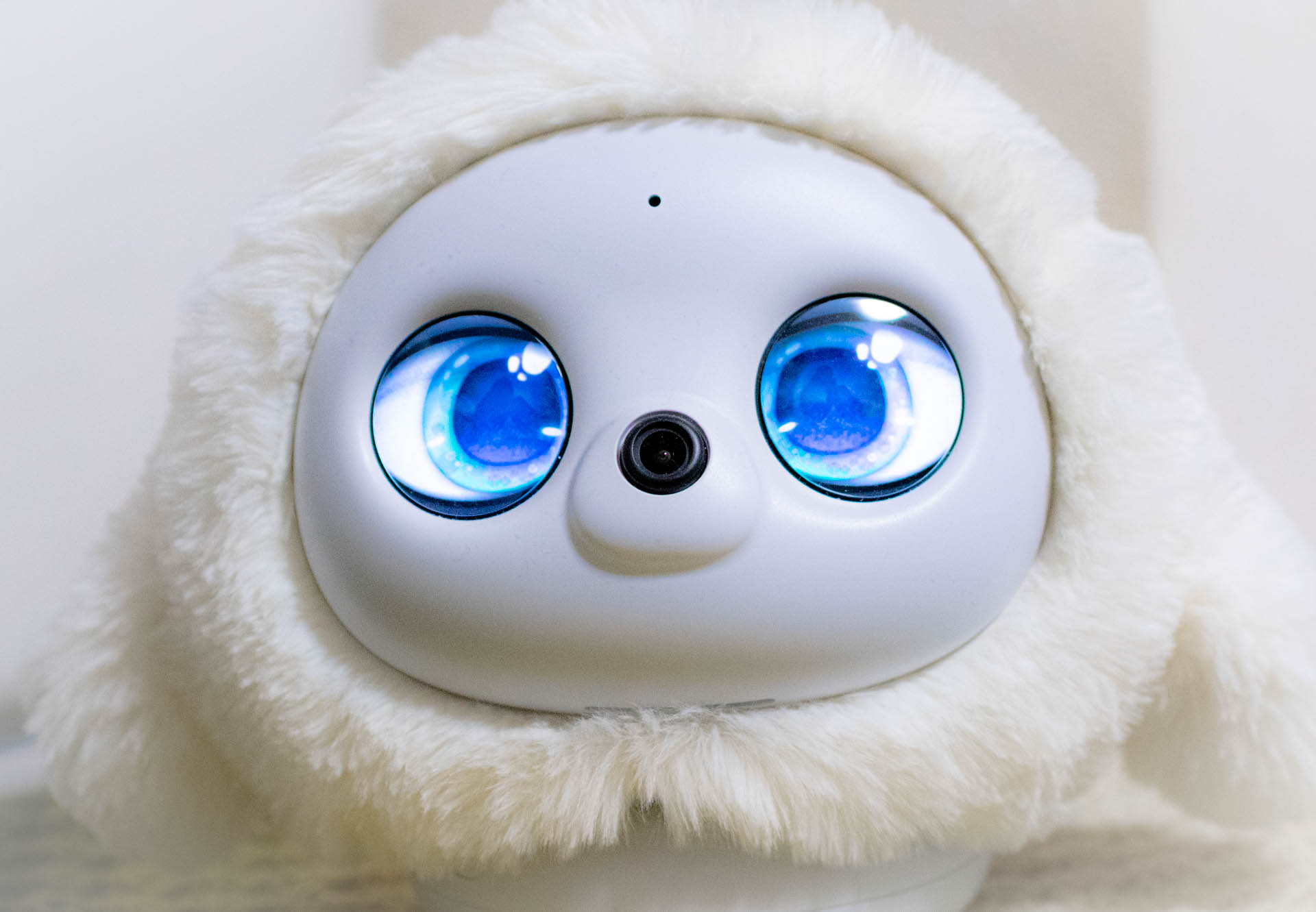 lopeto　ペットロボット