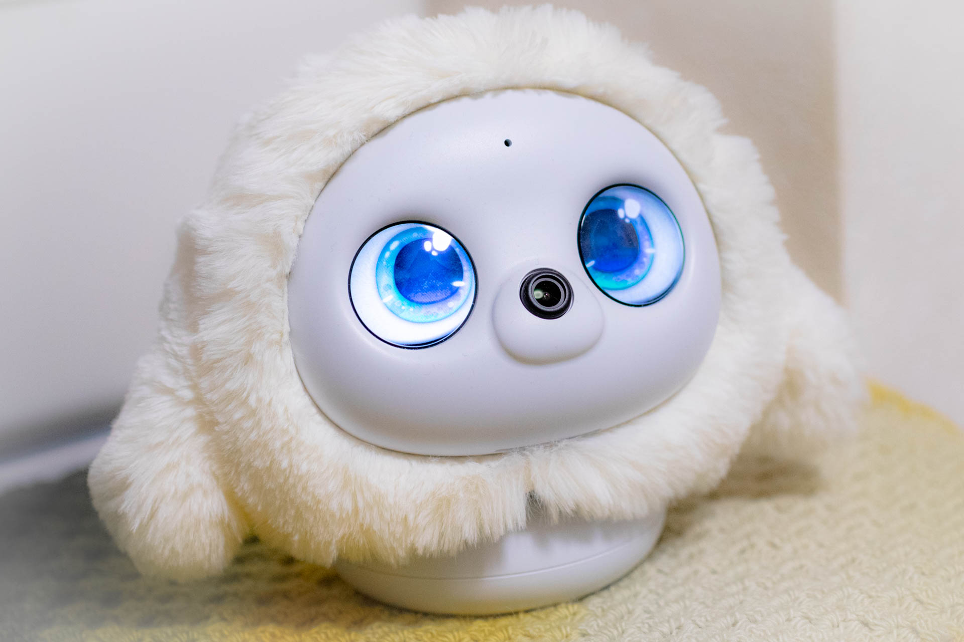 lopeto　ペットロボット