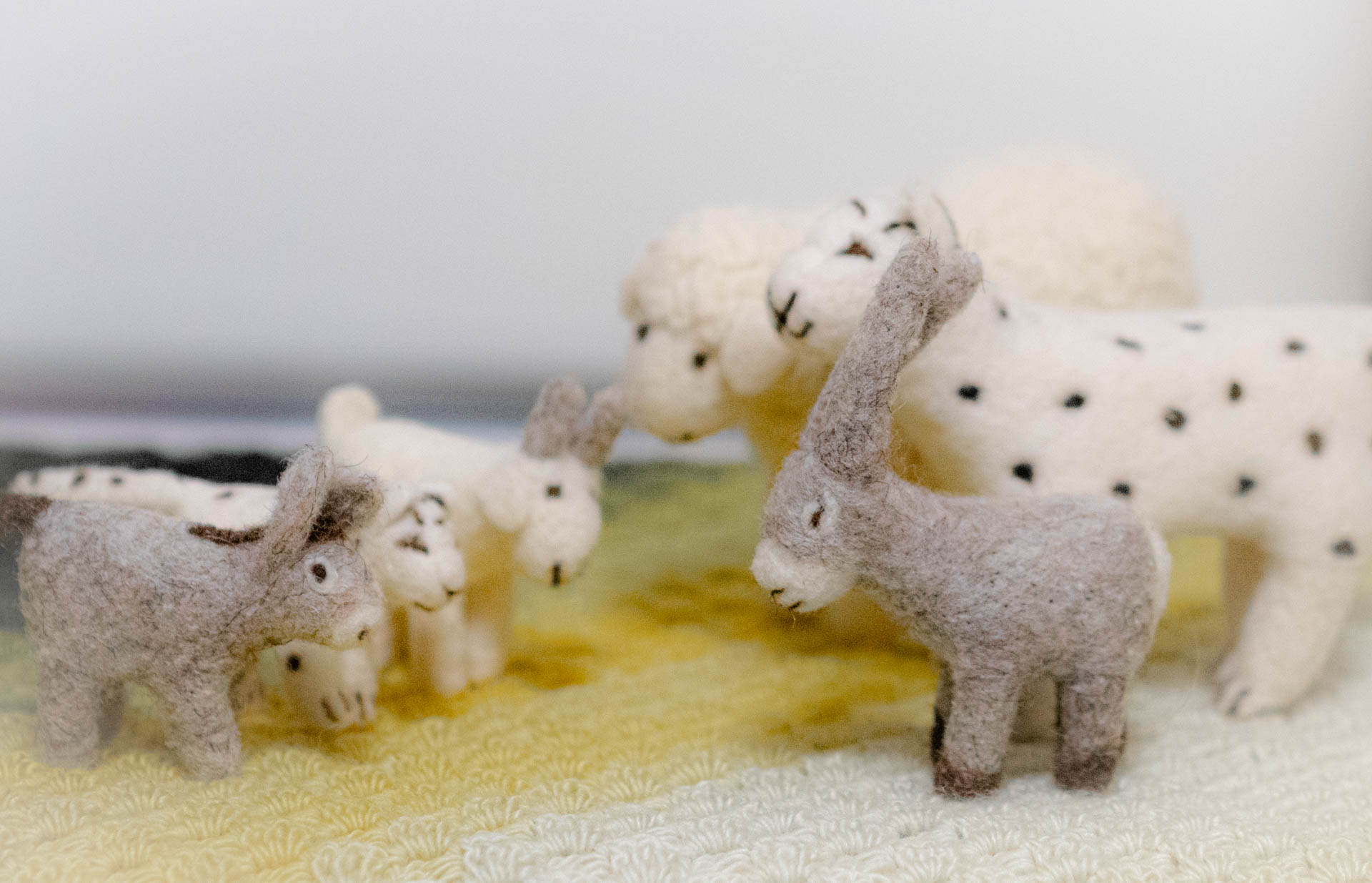 無印良品　ウールフェルト　動物