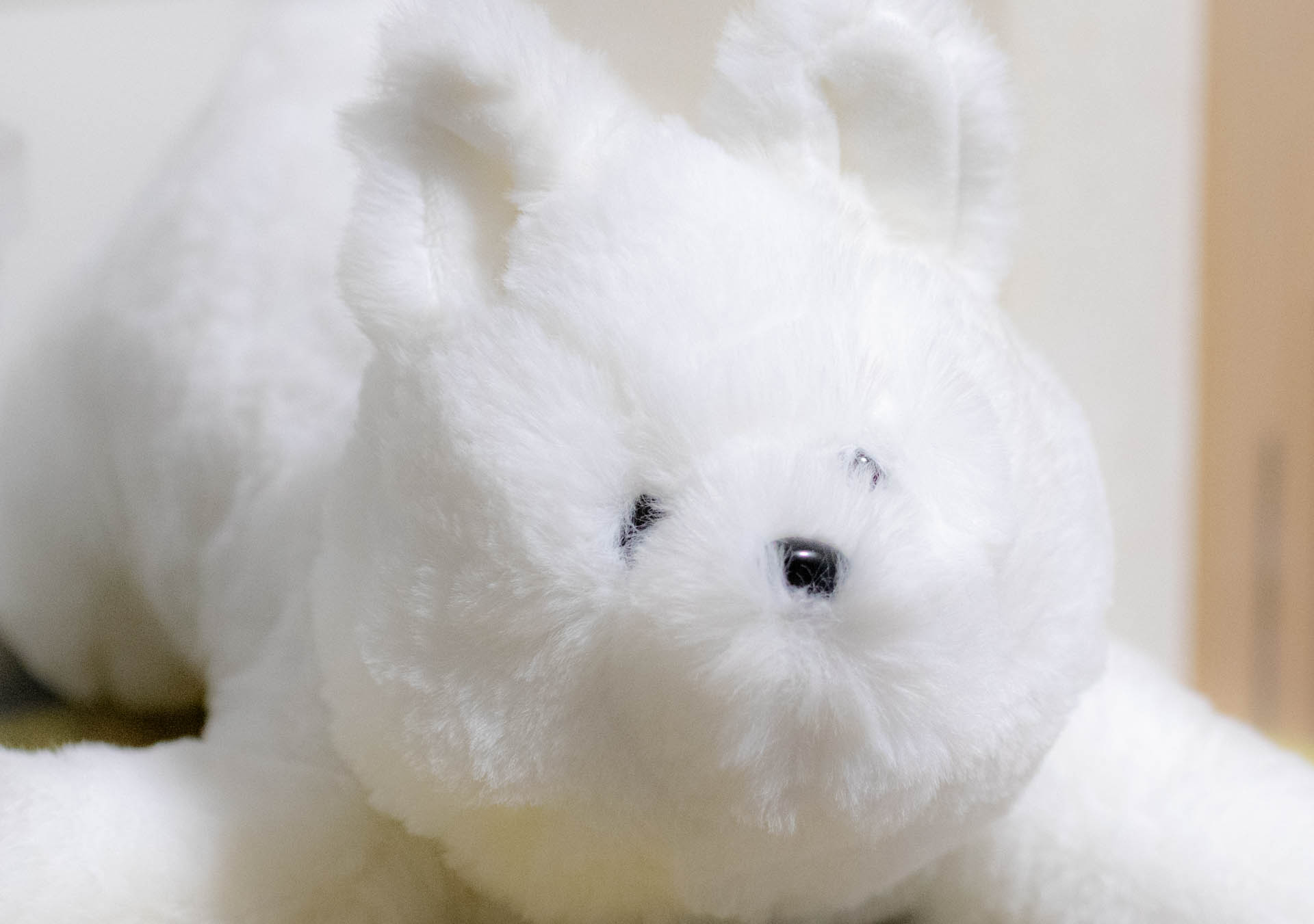 ニトリ　サモエド　ぬいぐるみ