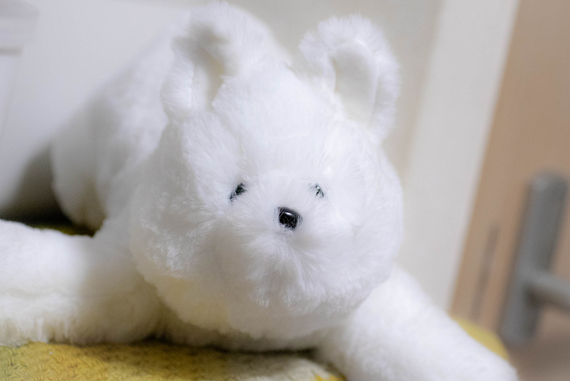 ニトリ　サモエド　ぬいぐるみ