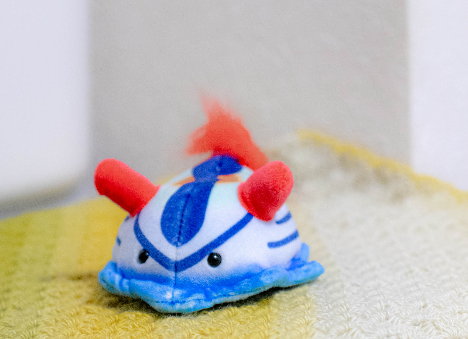 ぽけぷに　TAKEOFF　セトリュウグウウミウシ