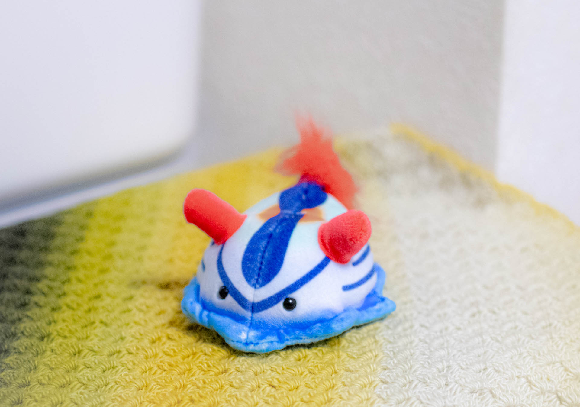 ぽけぷに　TAKEOFF　セトリュウグウウミウシ