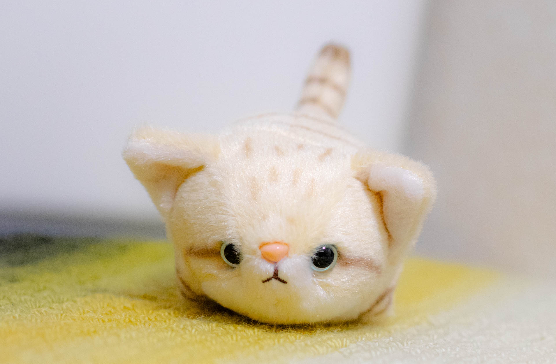 ぽちゃまる　スナネコ