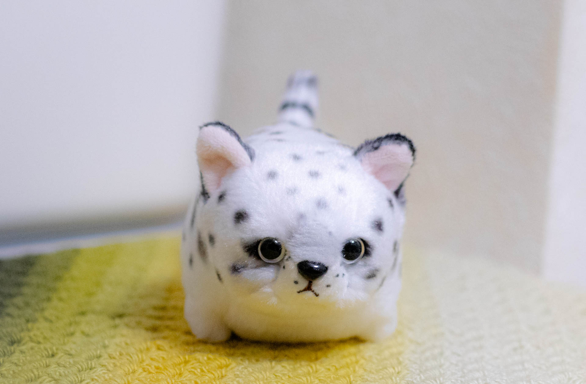 ぽちゃまる　ユキヒョウ　内藤デザイン