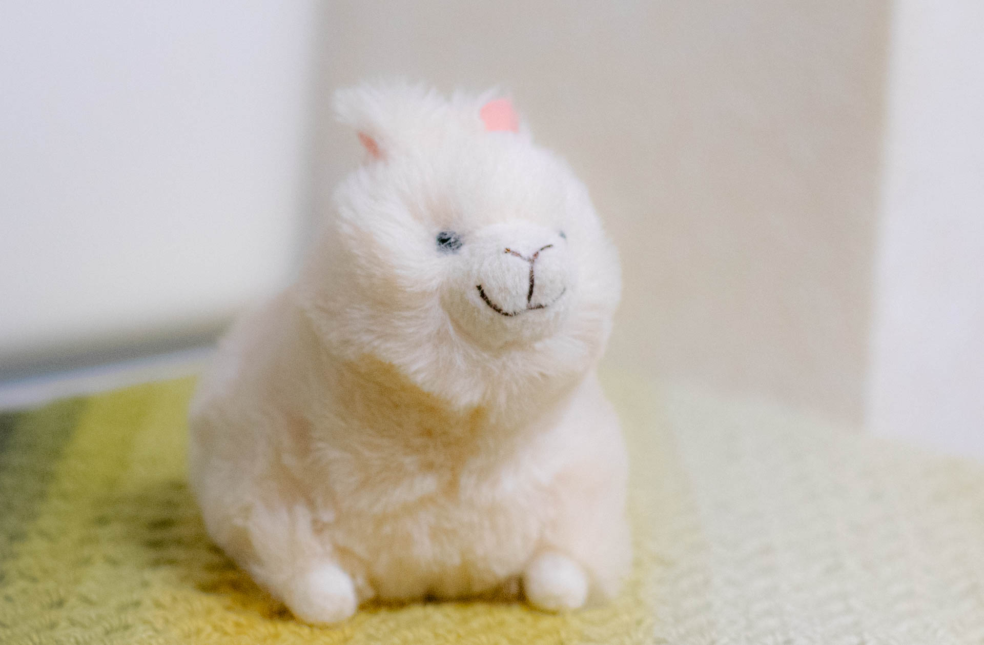 ぽちゃまる　アルパカ