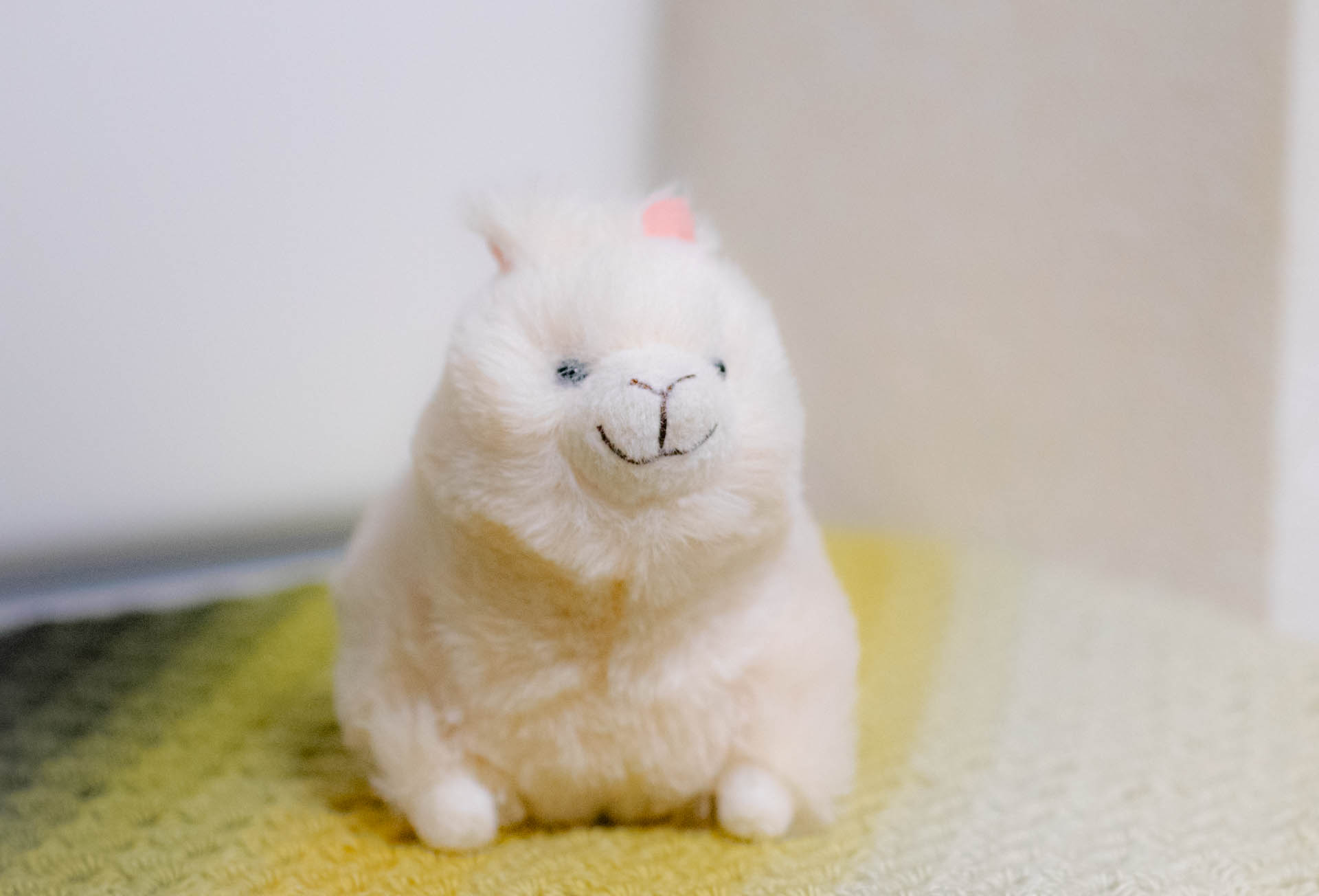 ぽちゃまる　アルパカ