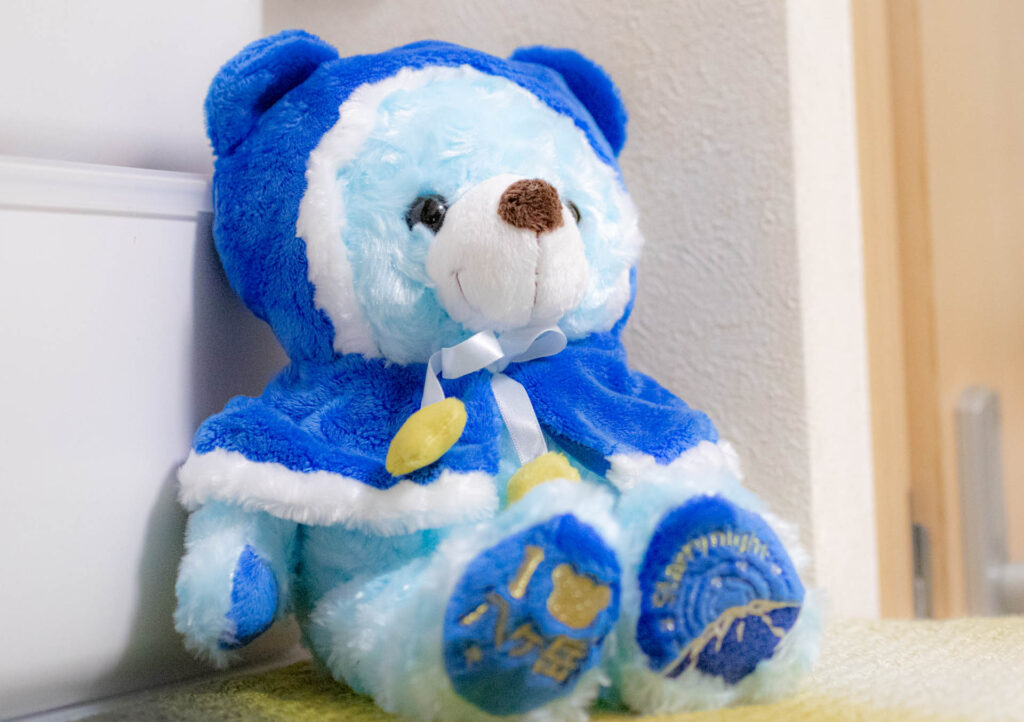 ご当地ベア　八ヶ岳星ベア　ぬいぐるみ