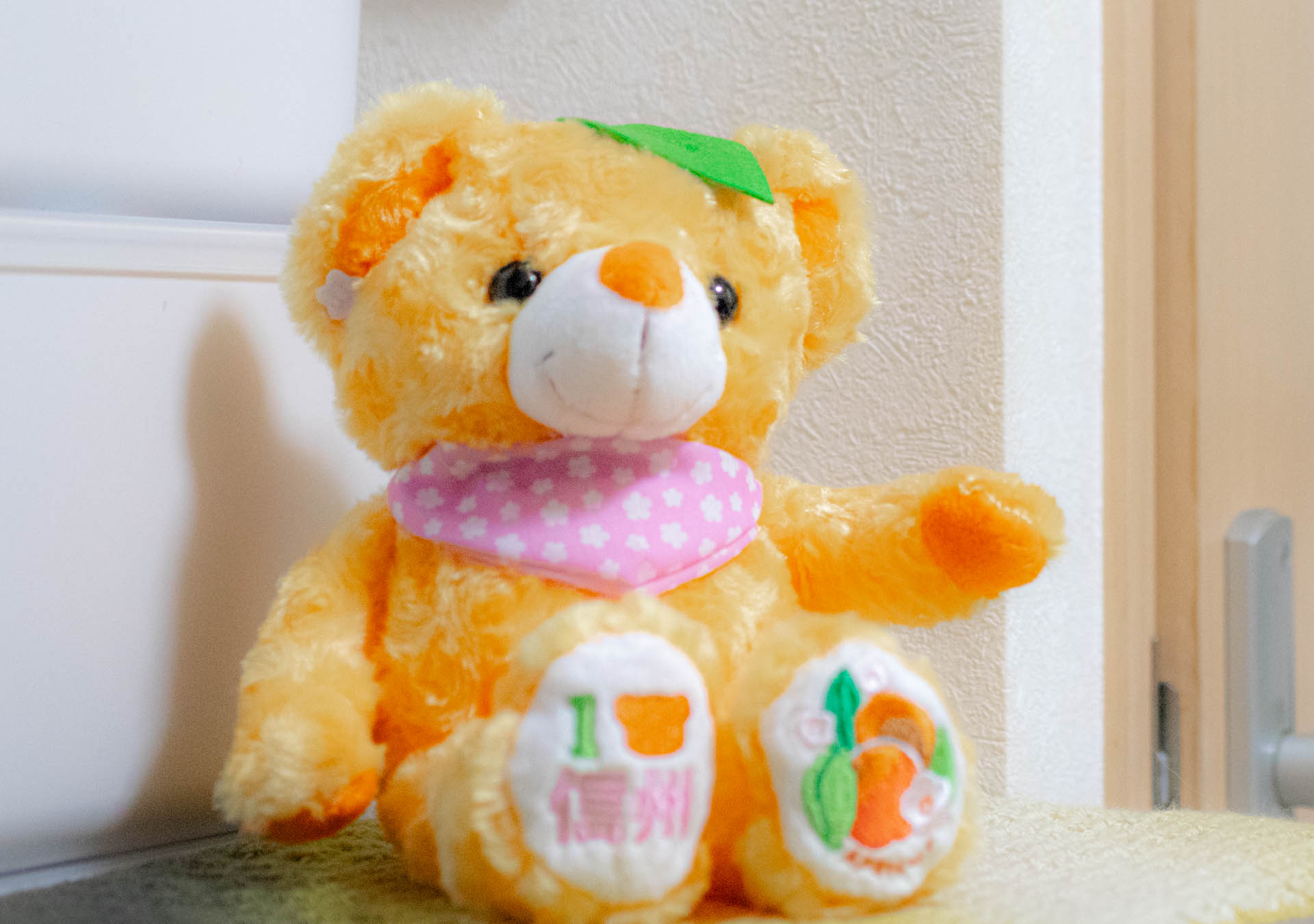 ご当地ベア　信州あんずベア　ぬいぐるみ