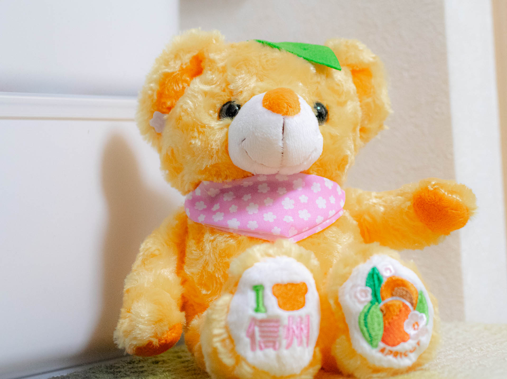 ご当地ベア　信州あんずベア　ぬいぐるみ