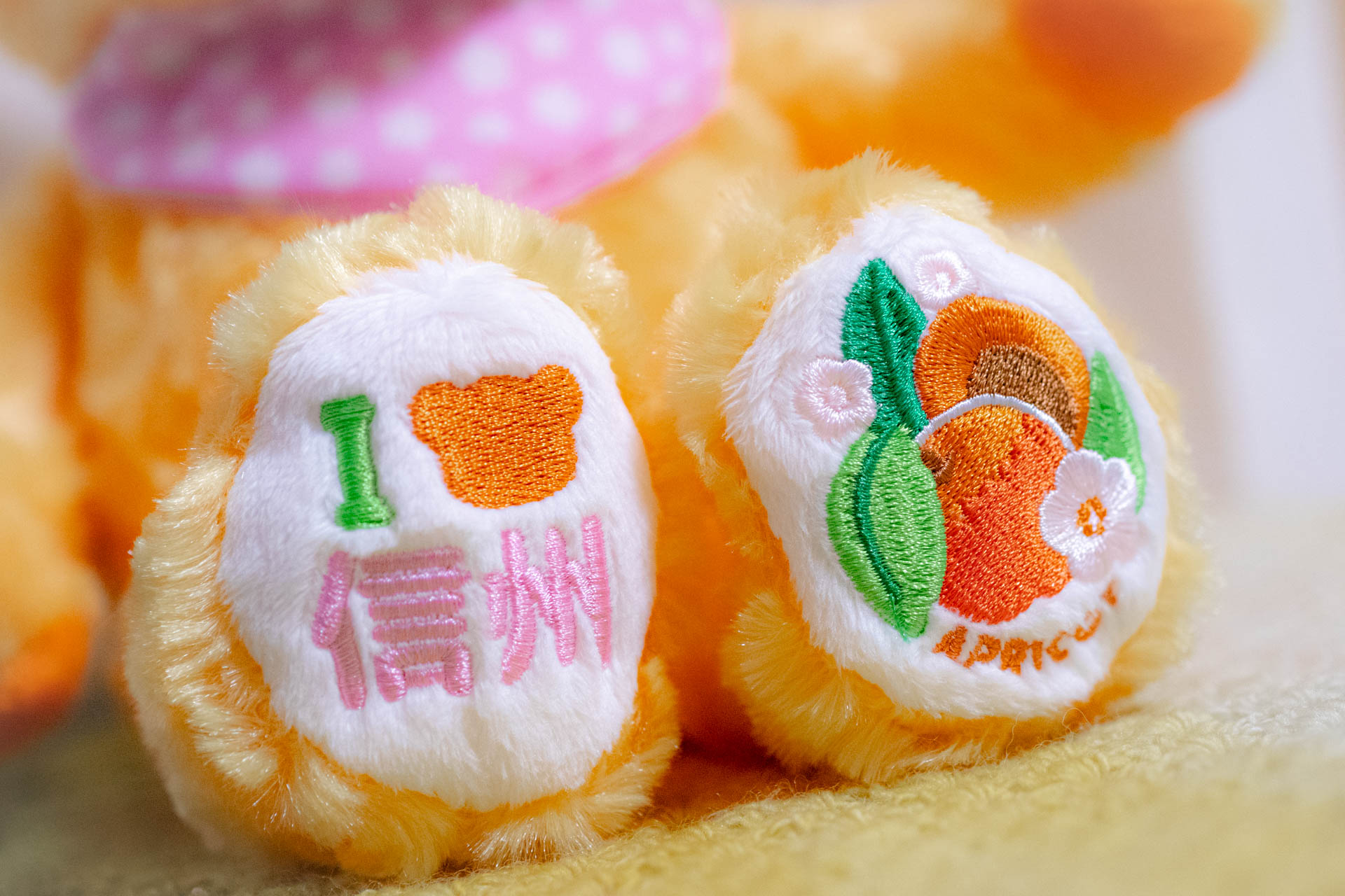 ご当地ベア 信州あんずベア ぬいぐるみ