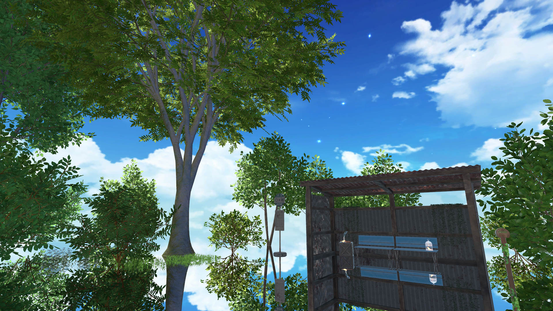 -yuuri-初夏の木漏れ日