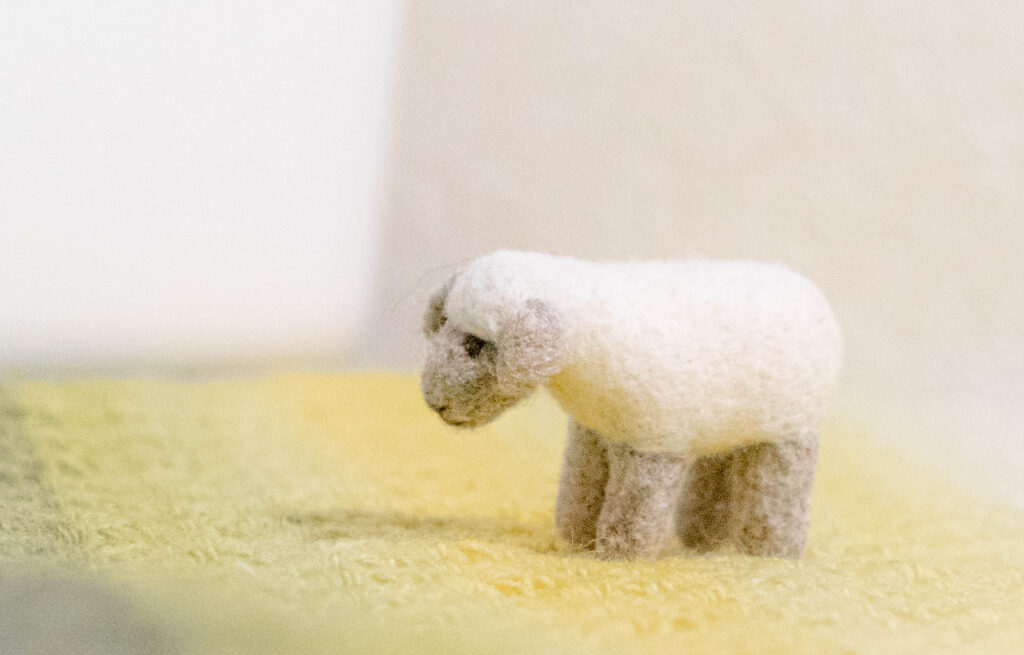 無印良品　ウールフェルト