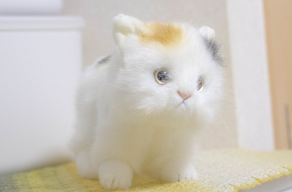 童心　ぬいぐるみ　三毛猫