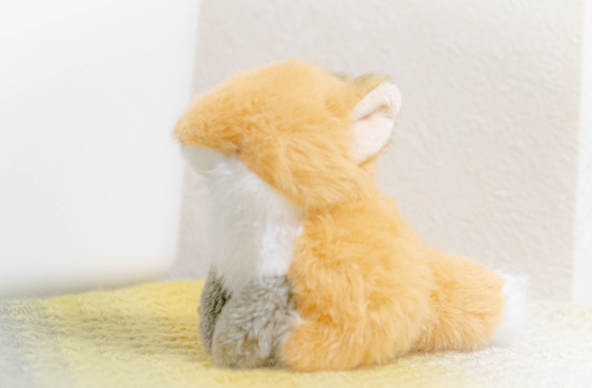 ぬいぐるみ　わたぽ　きたきつね