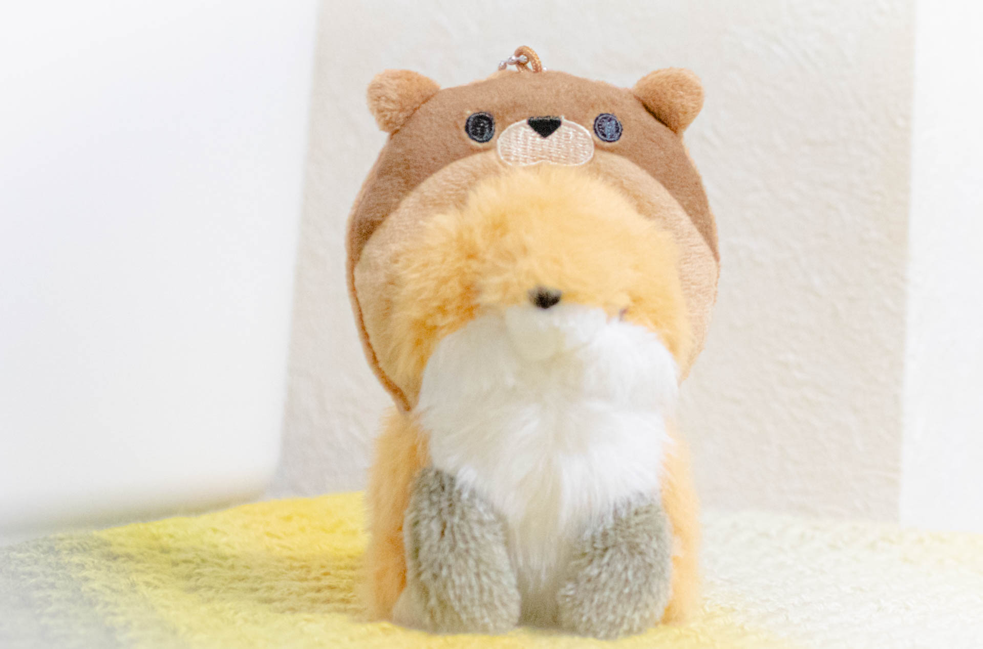 わたぽ　きたきつね