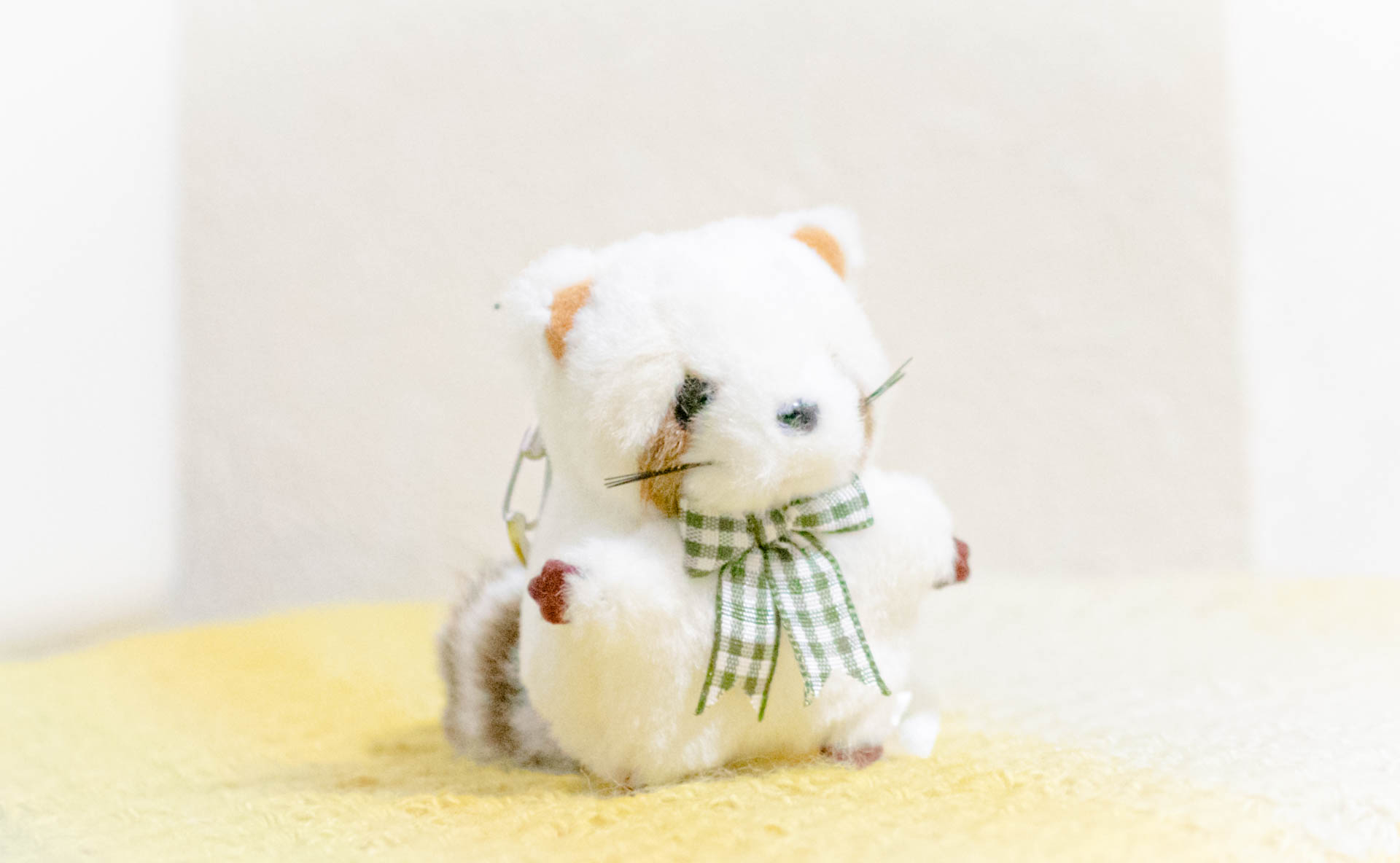 レッサーパンダ