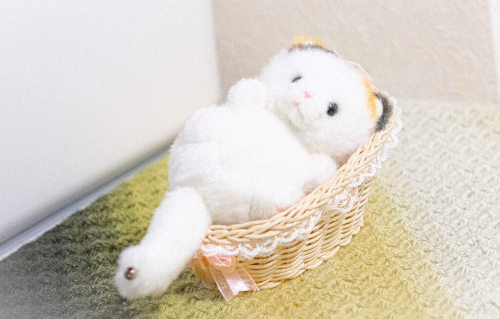 ぬいぐるみ　たけのこ　みけねこ