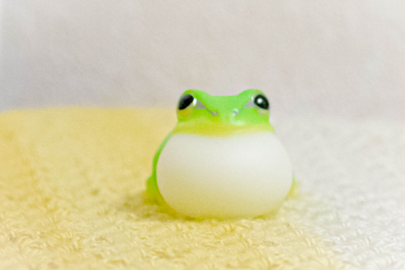 てのりフレンズ　カエル　アマガエル