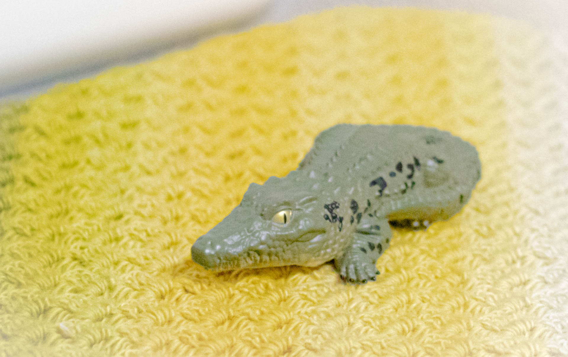 てのりフレンズ クロコダイル ワニ